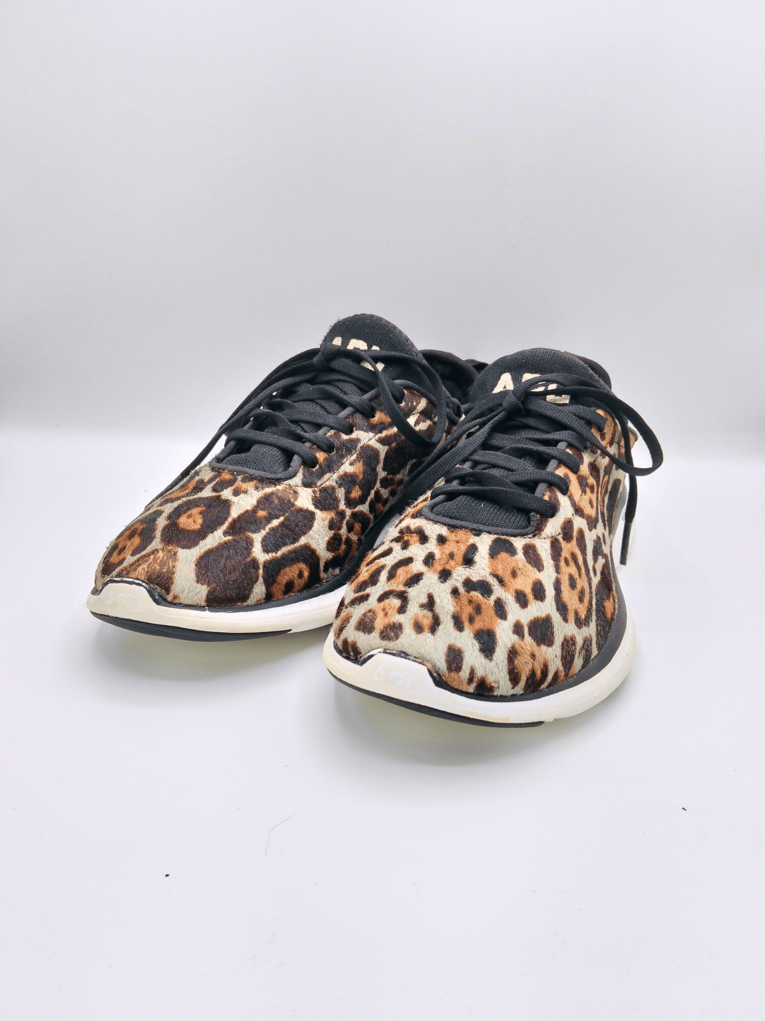 APL Cheetah