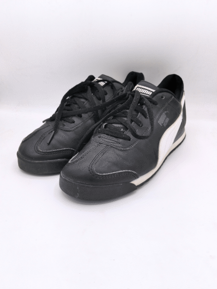 Puma ( Roma 24 Reversed )