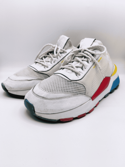 Puma ( Rs-X Colour Theory )